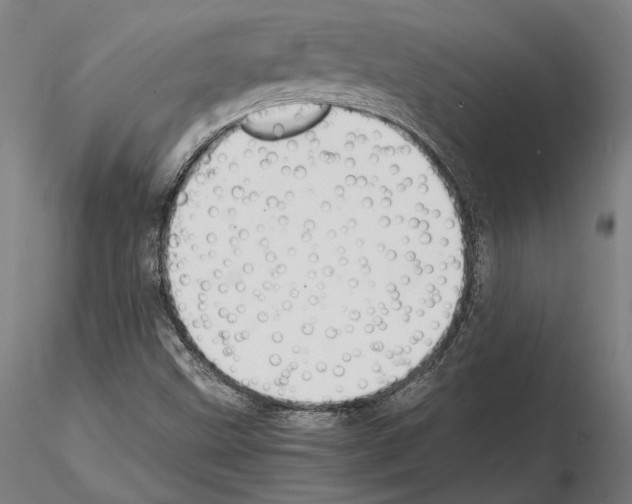 X0000114621499200912010949