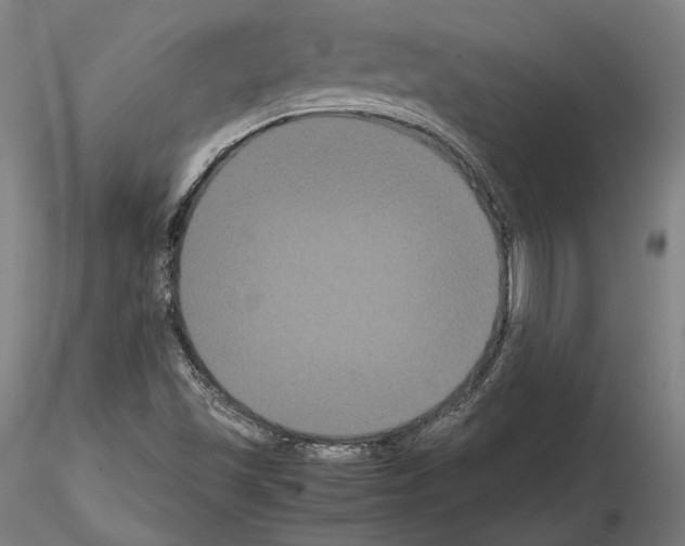 X0000114621501200912010949