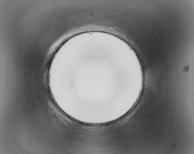 X0000114621502200912010949