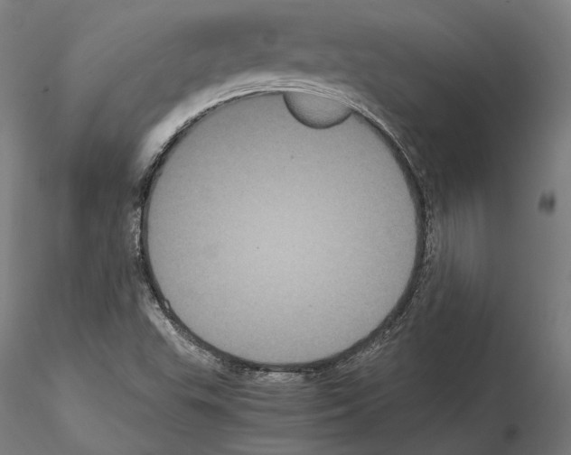 X0000114621503200912010949