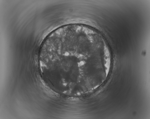 X0000114621505200912010949