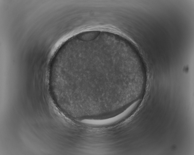 X0000114621506200912010949