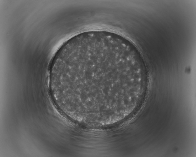 X0000114621509200912010949