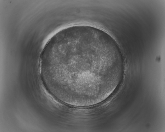 X0000114621510200912010949