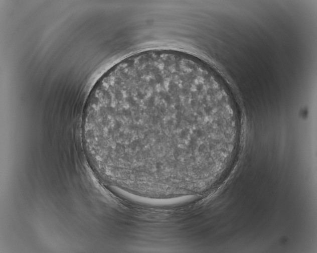 X0000114621513200912010949