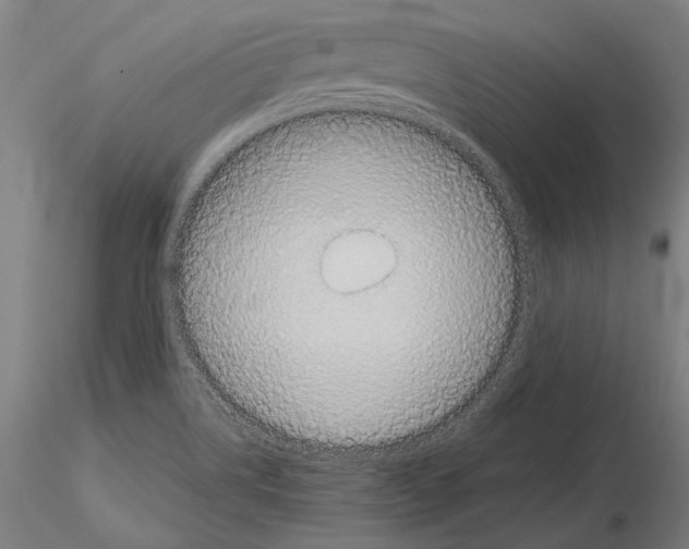 X0000114621514200912010949