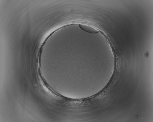 X0000114621515200912010949