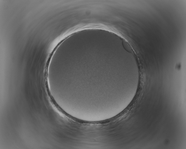 X0000114621519200912010949