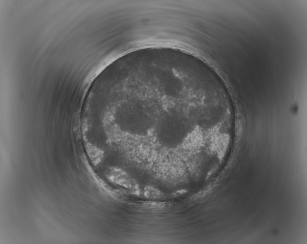 X0000114621521200912010949