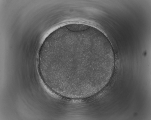 X0000114621523200912010949