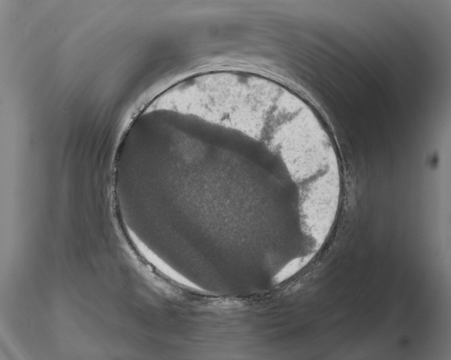 X0000114621525200912010949