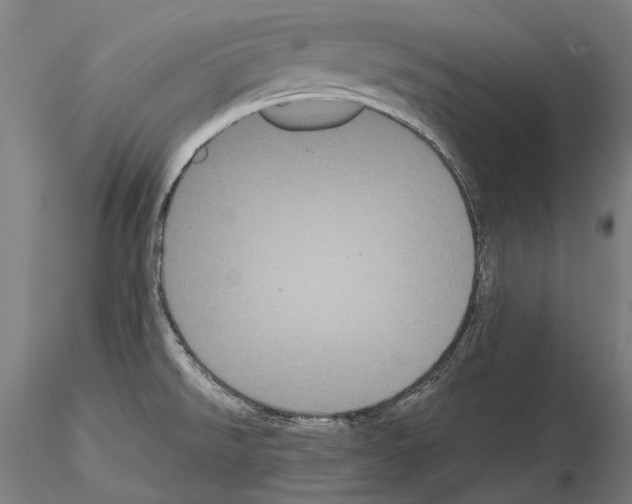 X0000114621526200912010949