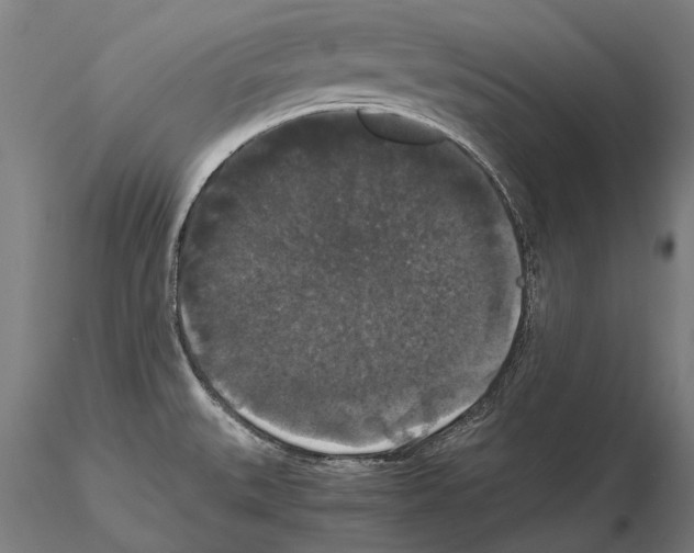 X0000114621527200912010949