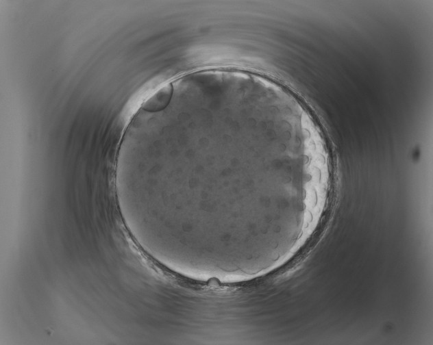 X0000114621529200912010949