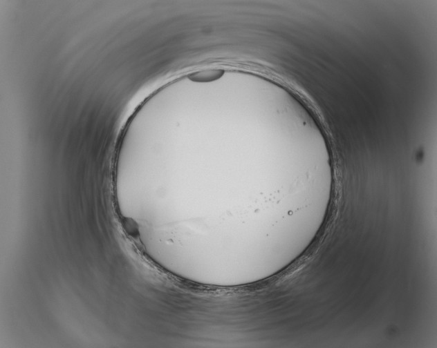 X0000114621530200912010949