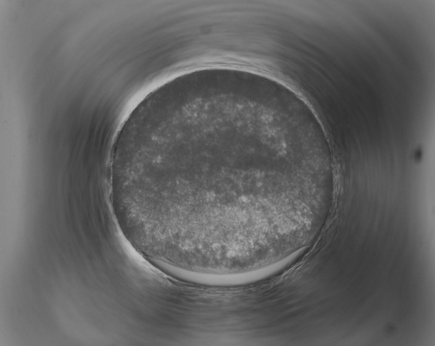 X0000114621531200912010949