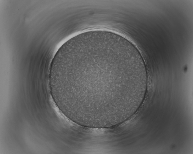 X0000114621534200912010949