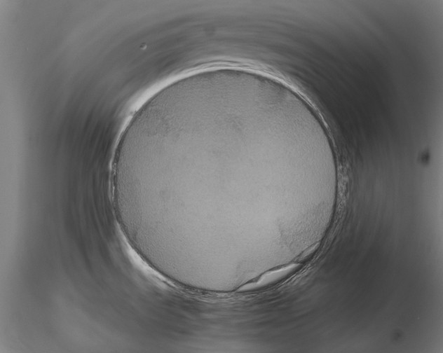 X0000114621535200912010949