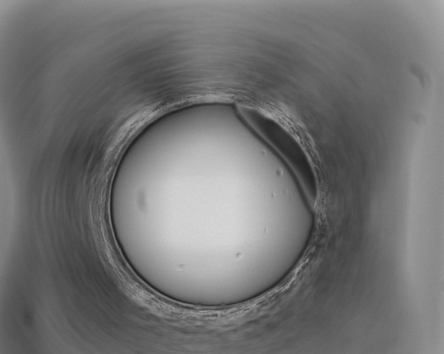 X0000114630001200910201031