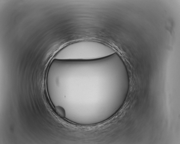 X0000114630002200910201031