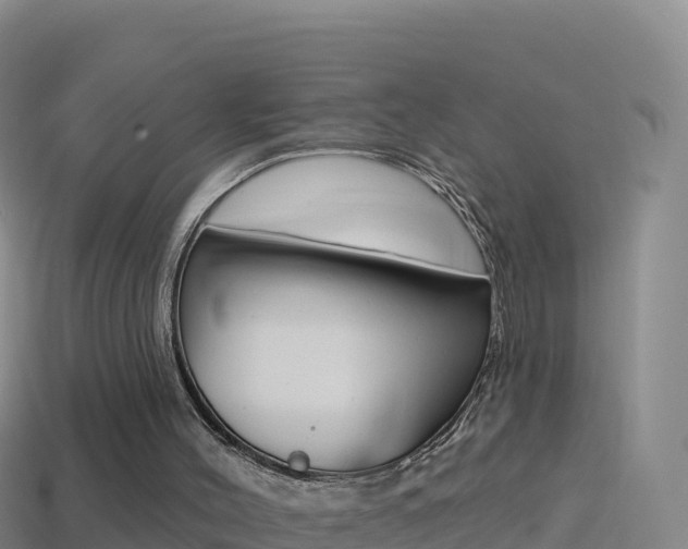 X0000114630004200910201031