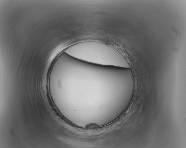 X0000114630006200910201031