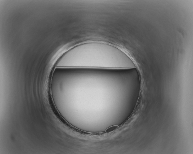 X0000114630007200910201031