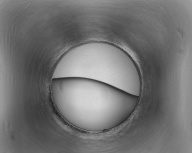 X0000114630009200910201031