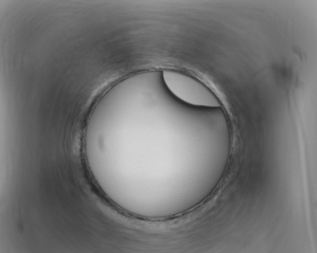 X0000114630010200910201031