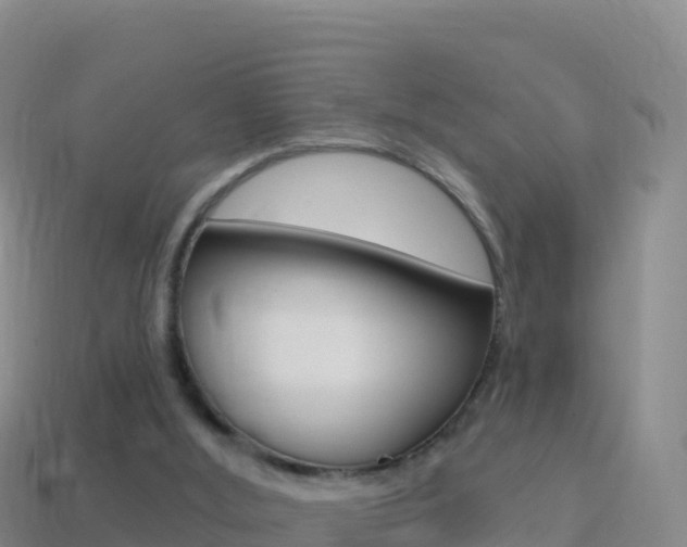 X0000114630012200910201031