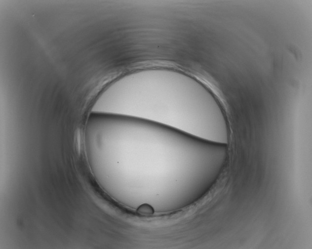 X0000114630013200910201031