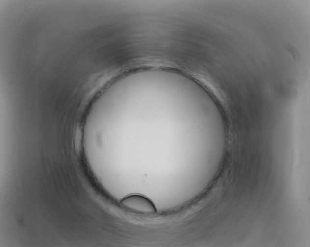 X0000114630014200910201031