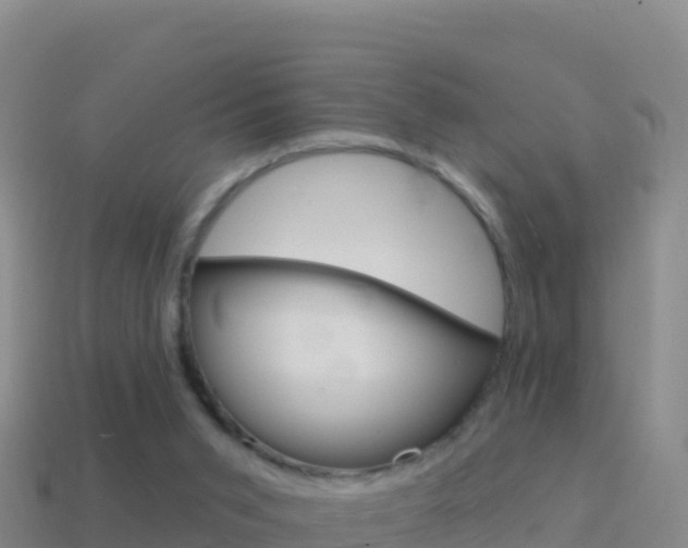 X0000114630015200910201031