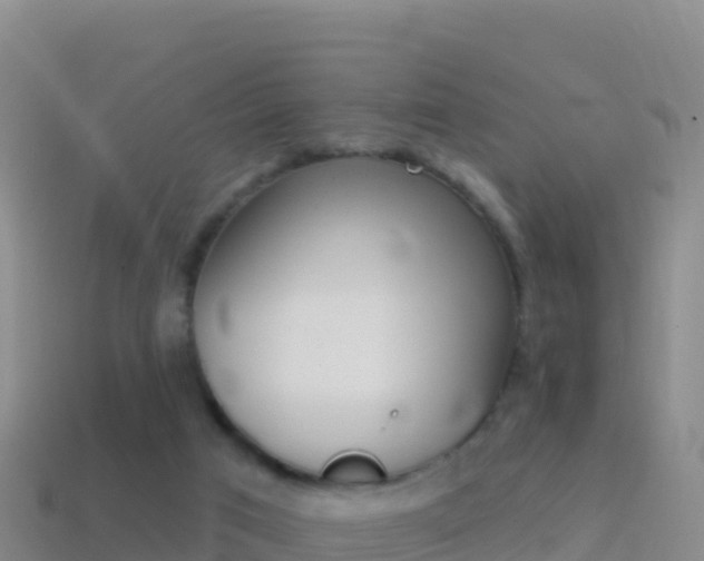 X0000114630017200910201031