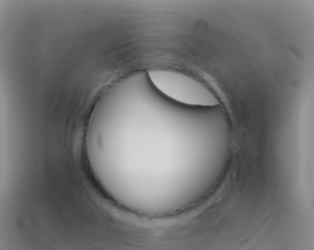 X0000114630018200910201031