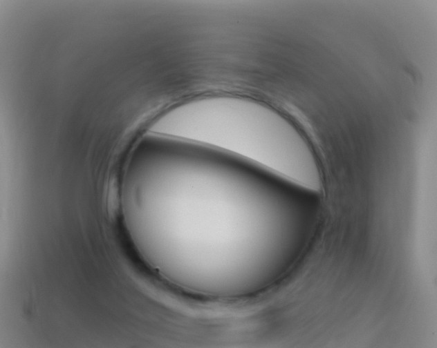 X0000114630020200910201031