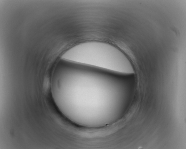 X0000114630021200910201031