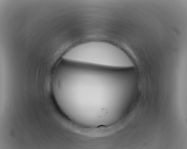 X0000114630023200910201031