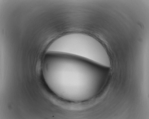 X0000114630024200910201031