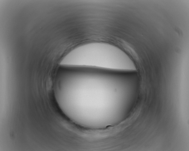 X0000114630025200910201031