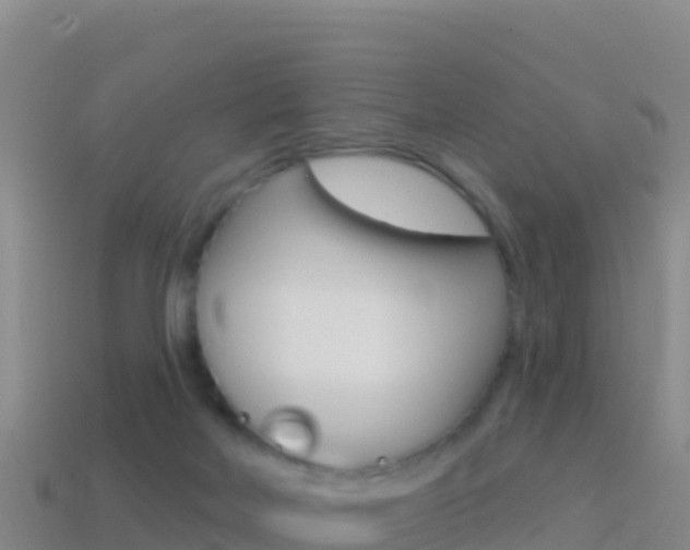 X0000114630026200910201031