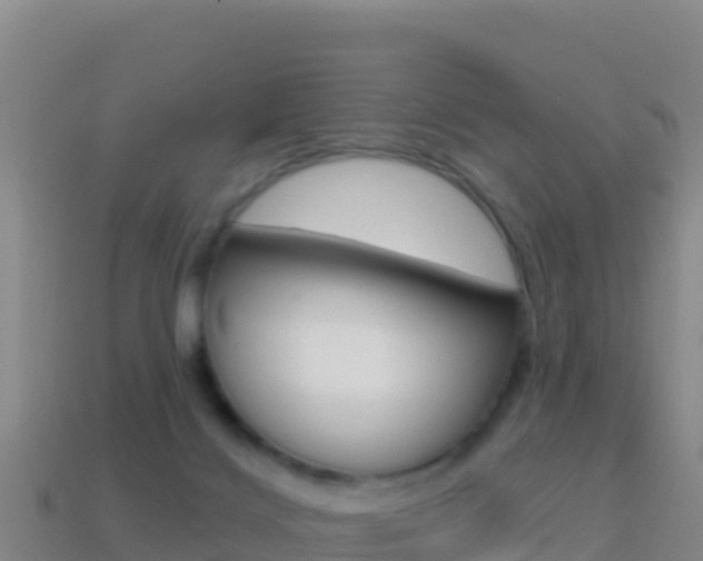 X0000114630028200910201031