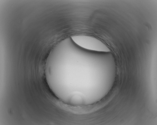 X0000114630030200910201031