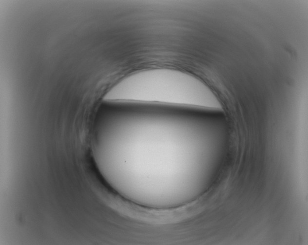 X0000114630031200910201031