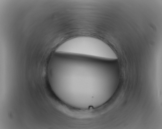 X0000114630032200910201031