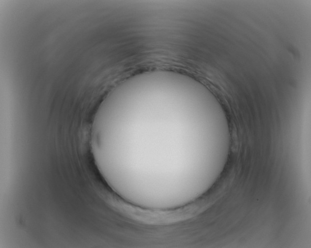 X0000114630034200910201031