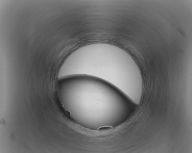 X0000114630035200910201031