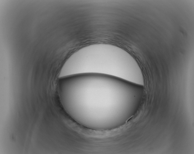 X0000114630037200910201031