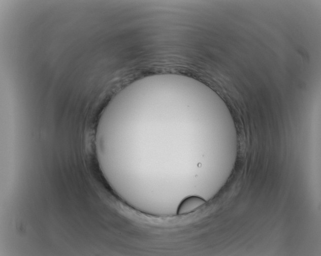 X0000114630038200910201031