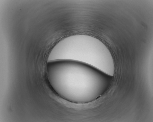 X0000114630039200910201031